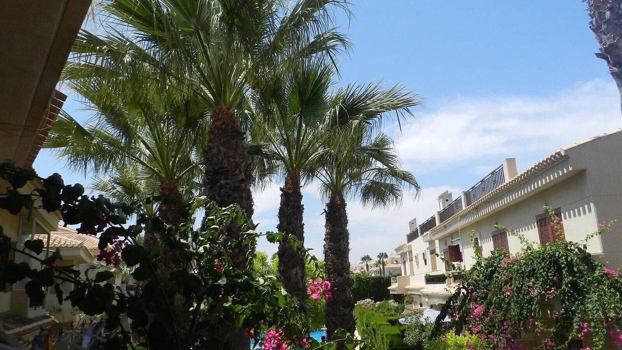 Photo of Outdoor in Playa Flamenca