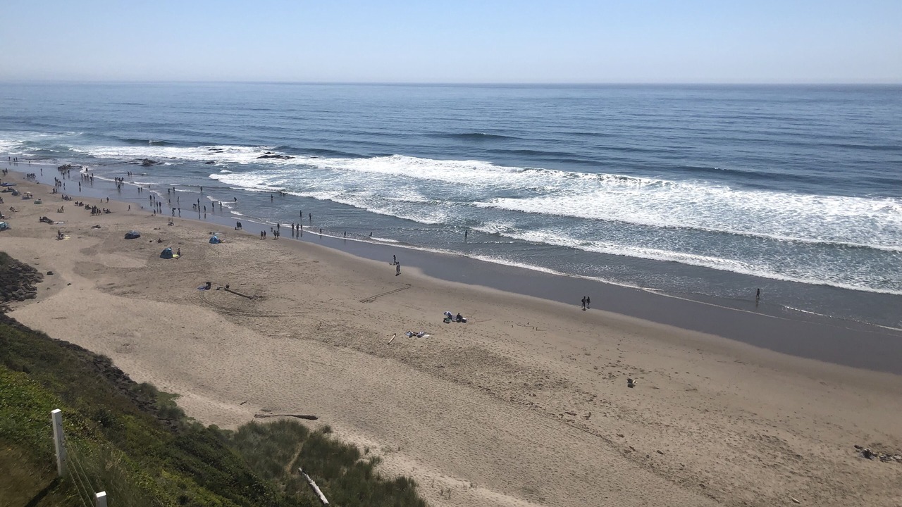 Photo of Others in Lincoln City