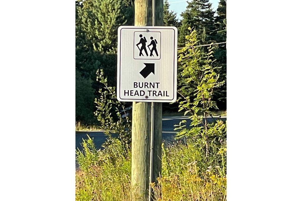 Photo of Outdoor in Harbour Main