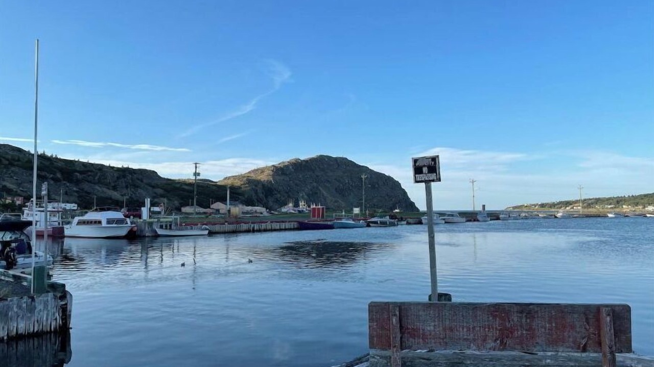 Photo of Outdoor in Harbour Main