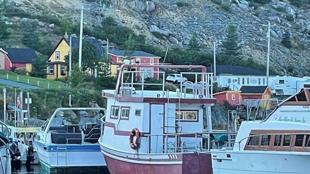 Photo of Others in Harbour Main