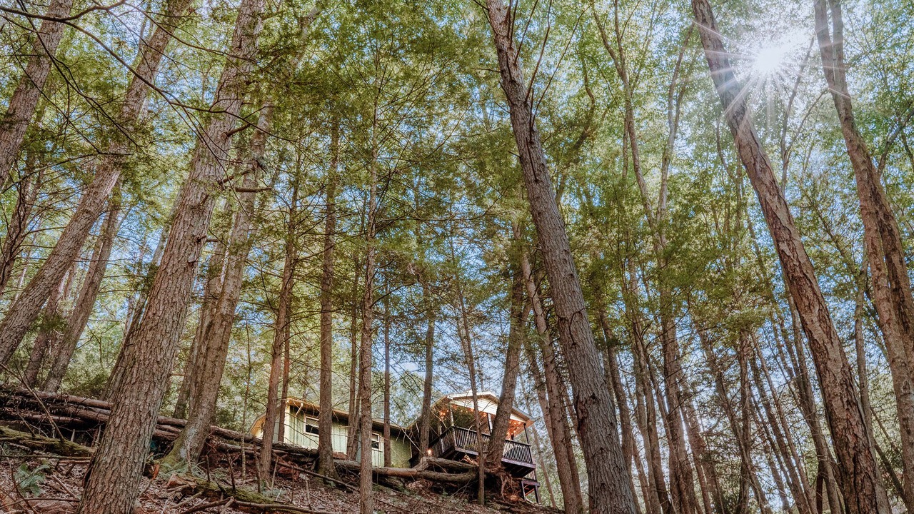 Photo of Outdoor in Cambra