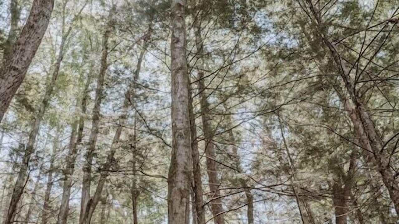 Photo of Outdoor in Cambra