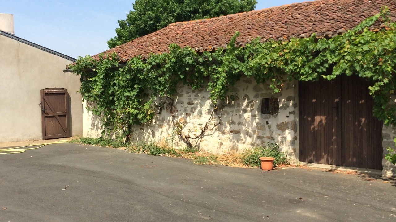 Photo of Outdoor in Saint-Amand-sur-Sevre