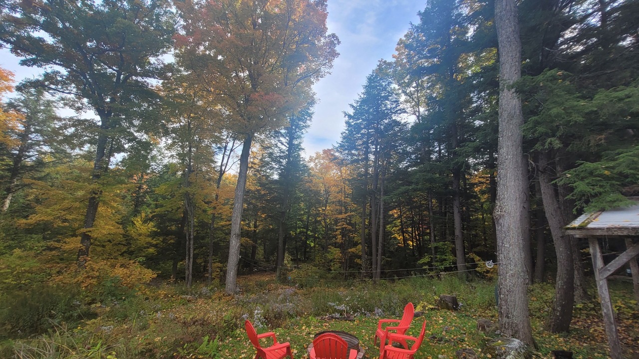 Photo of Others in Lanark Highlands