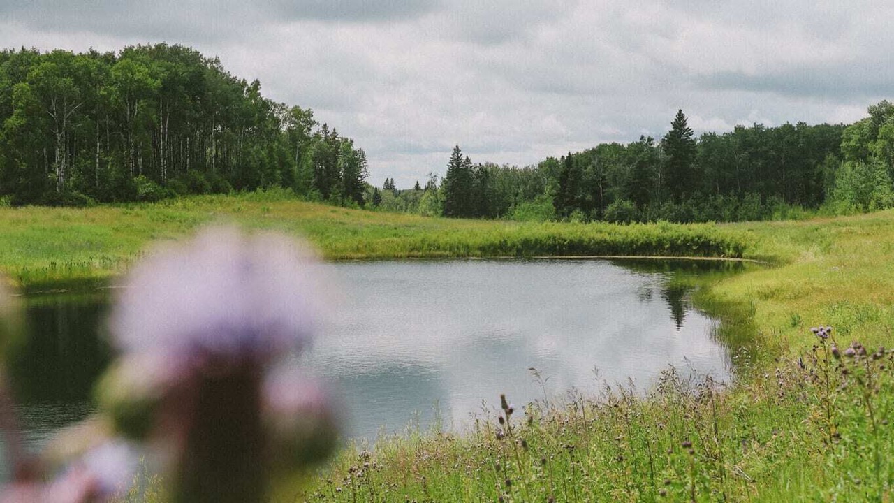 Photo of Outdoor in Wasagaming