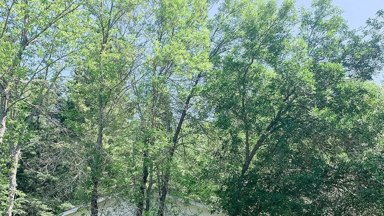 Photo of Outdoor in Sioux Narrows Nestor Falls