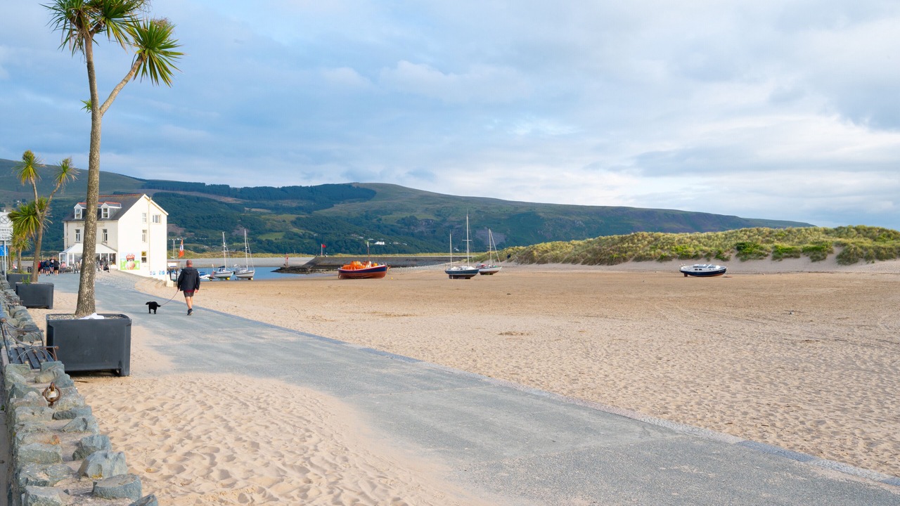 Photo of Others in Tywyn
