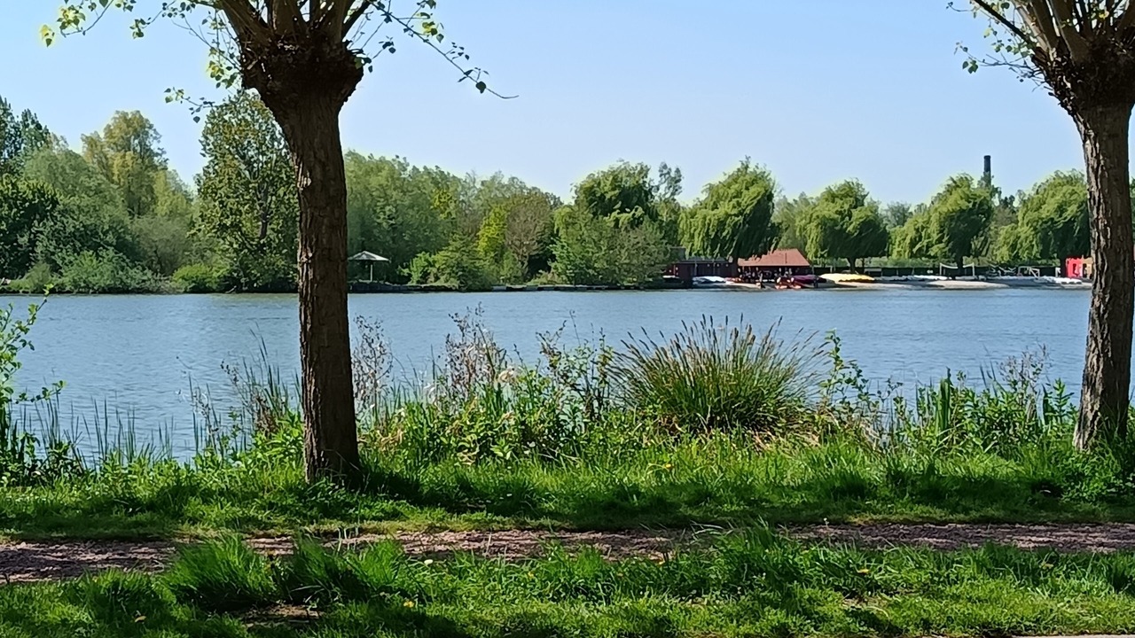 Photo of Others in Marquise