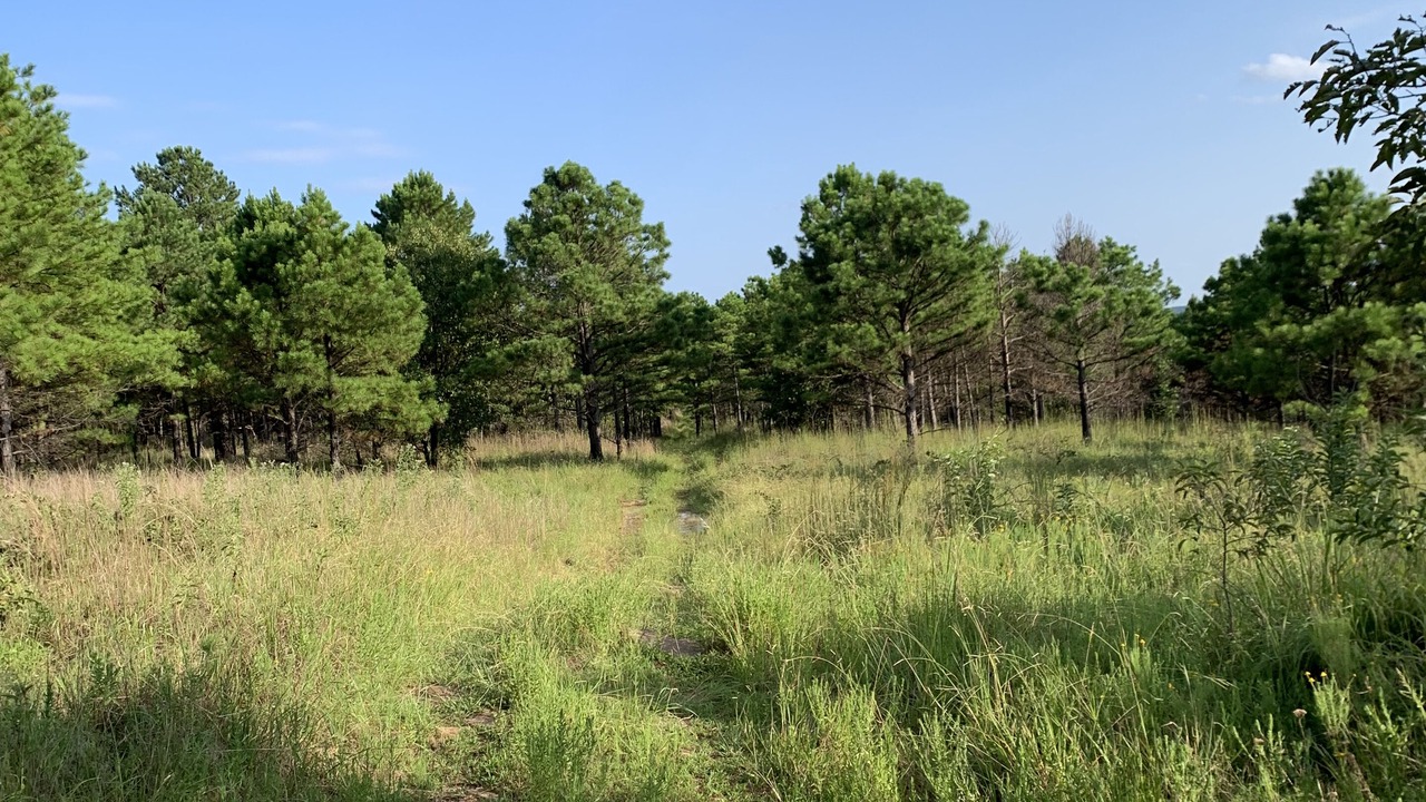 Photo of Outdoor in Stringtown