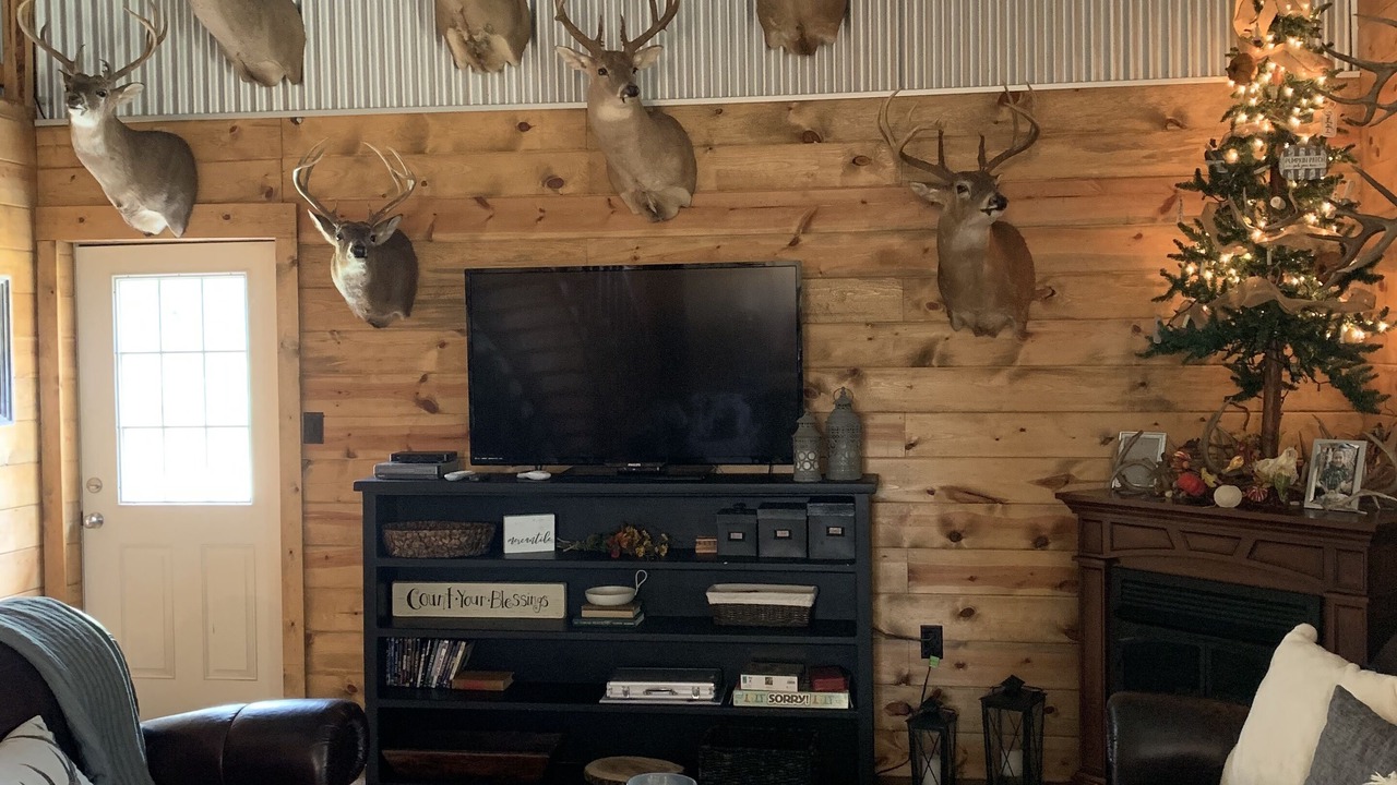 Photo of Livingroom in Stringtown