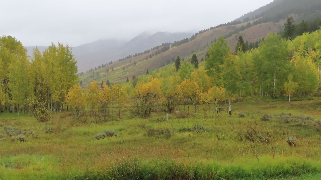 Photo of Outdoor in Hoback Junction