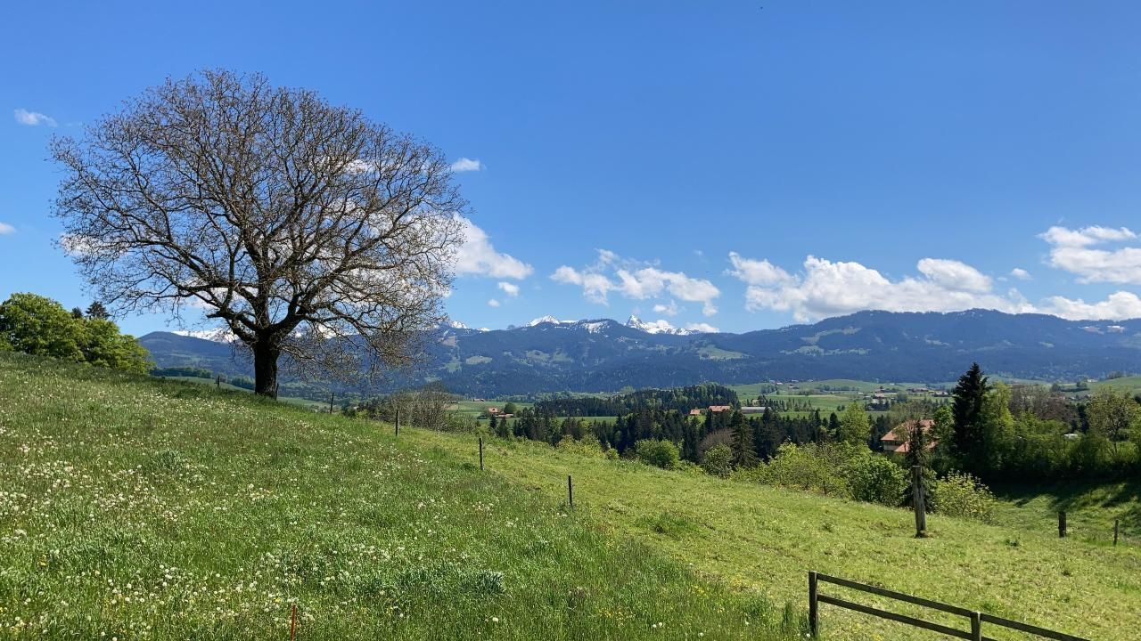 Photo of Others in Wahlern