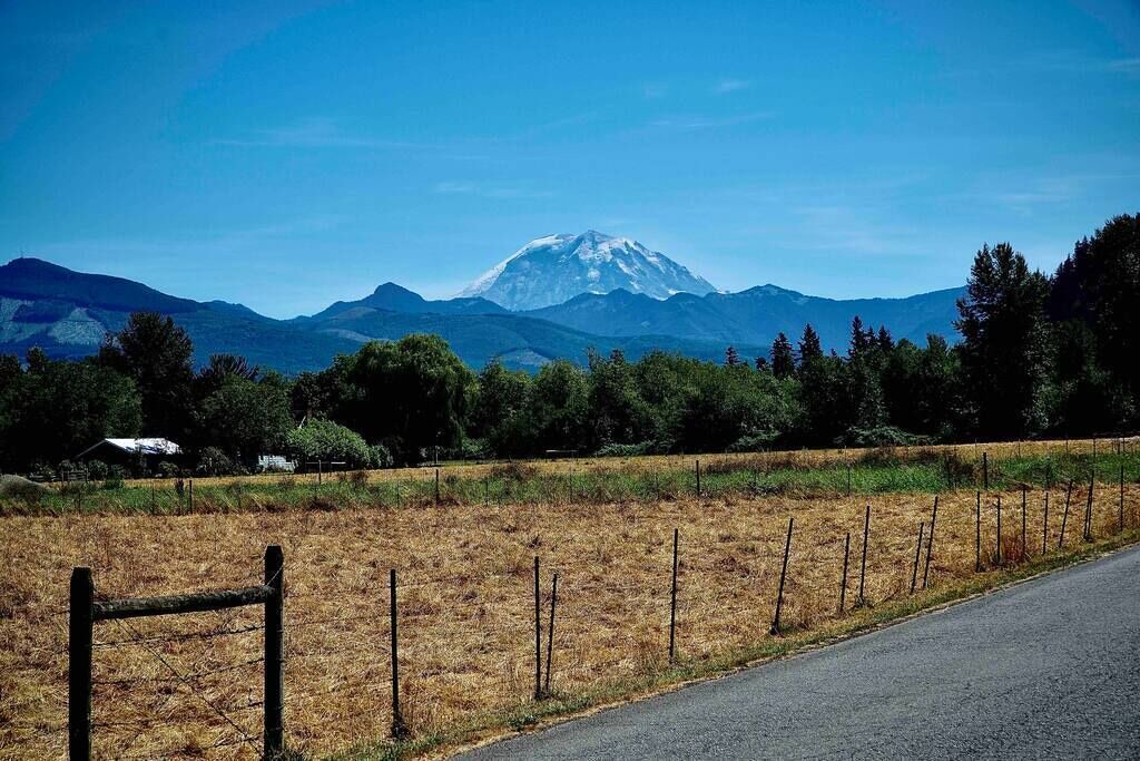 Photo of Others in Enumclaw