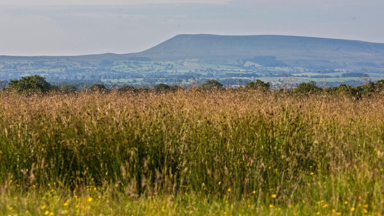 Photo of Others in Fourstones Near Bentham