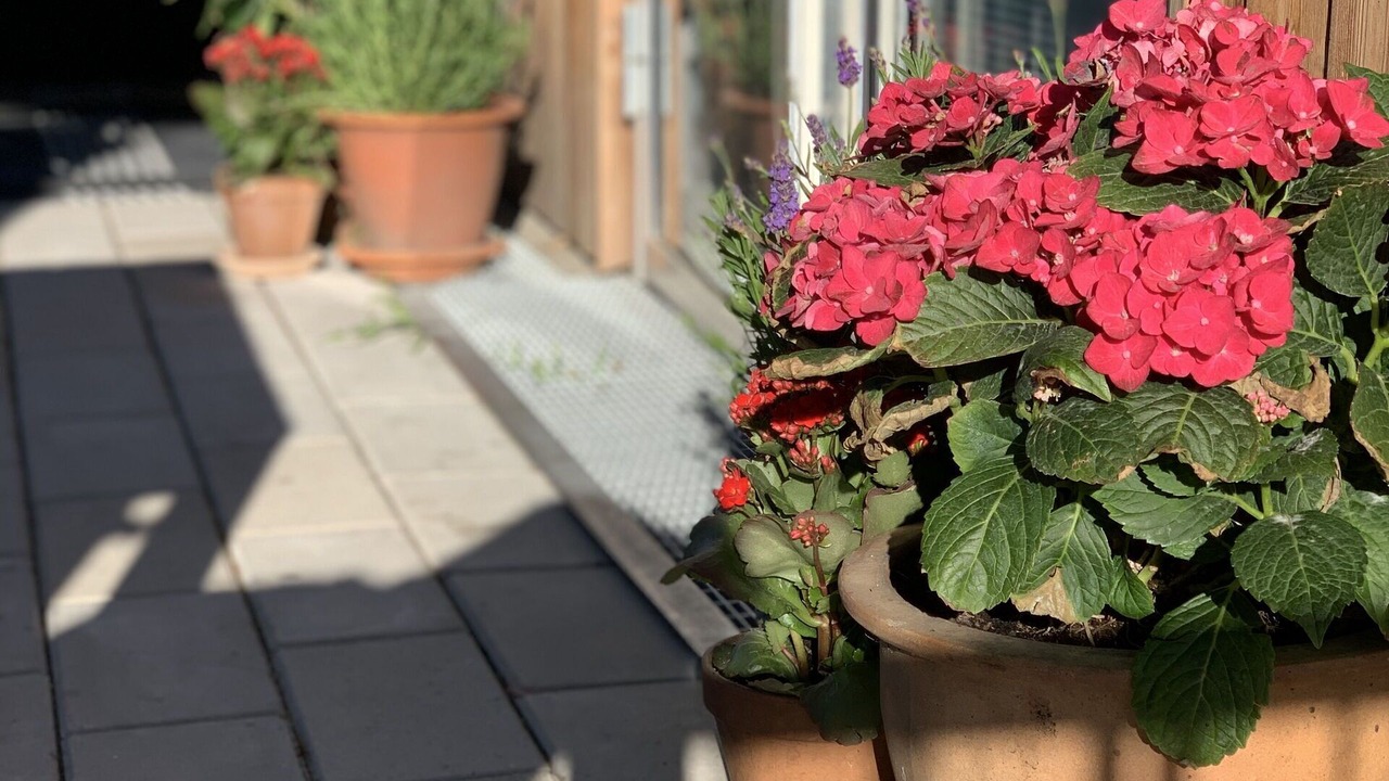 Photo of Patio Balcony in Amager