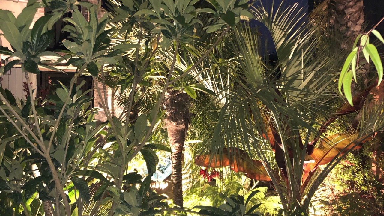 Photo of Outdoor in Chartres-de-Bretagne