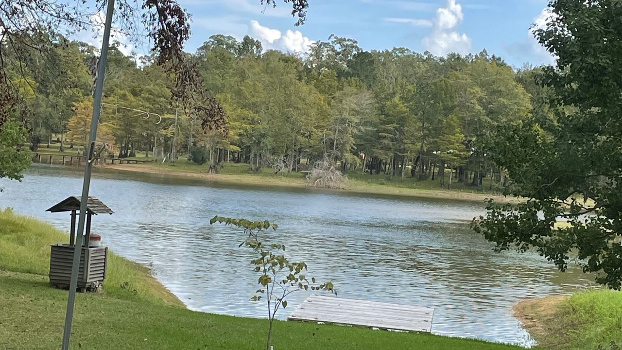 Photo of Others in Hemphill