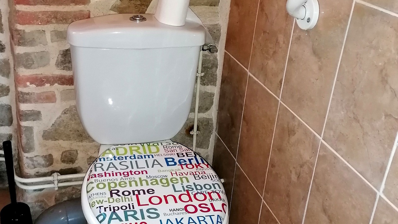 Photo of Bathroom in Espinasse