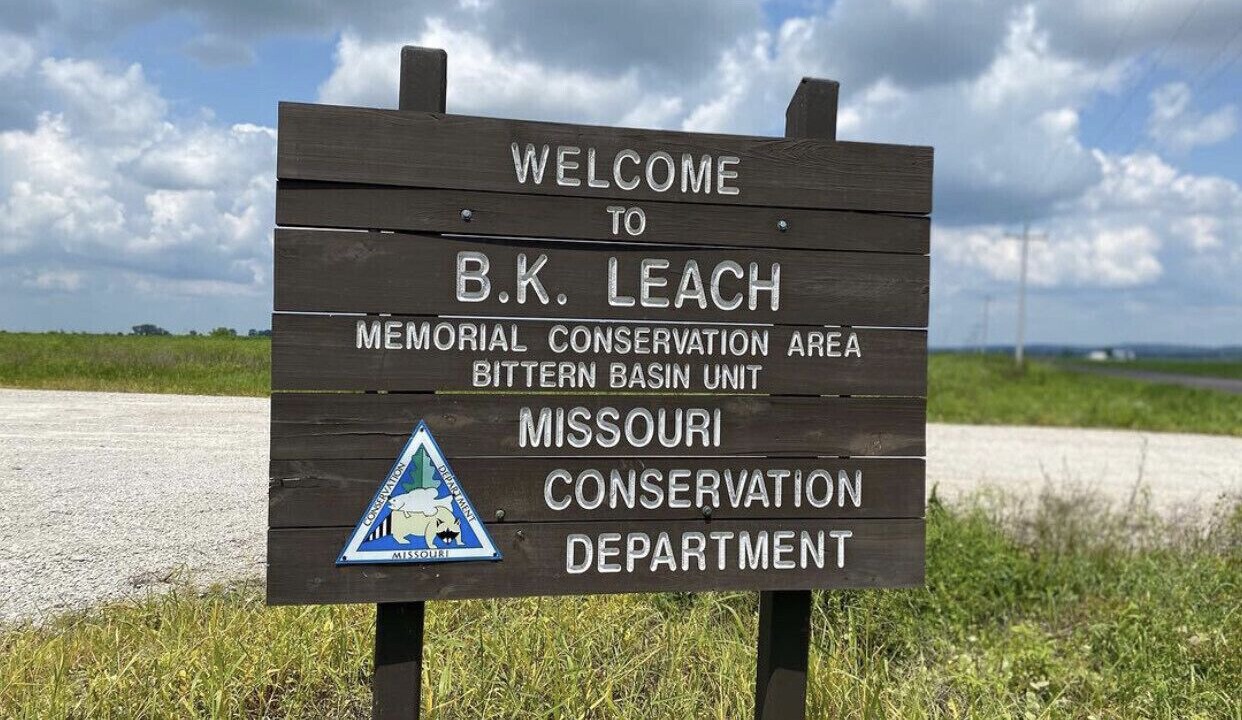 Photo of Outdoor in Michael