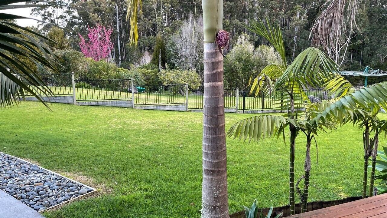 Photo of Outdoor in Waipapa