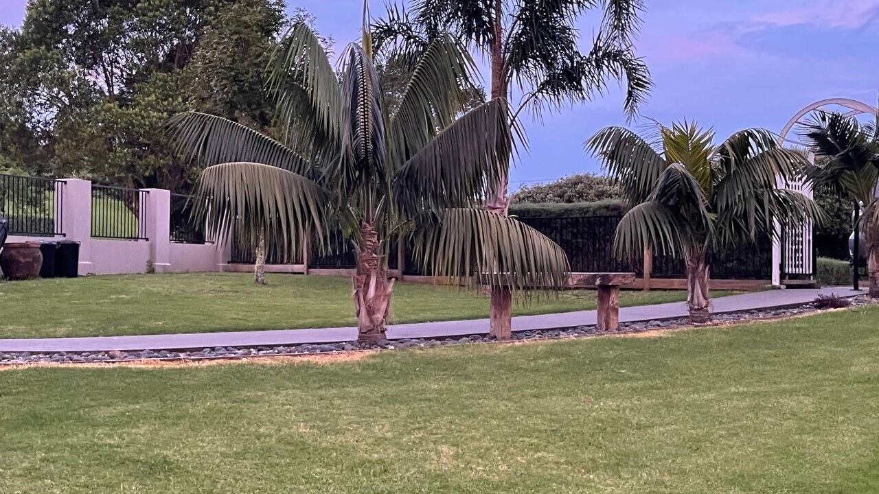 Photo of Outdoor in Waipapa