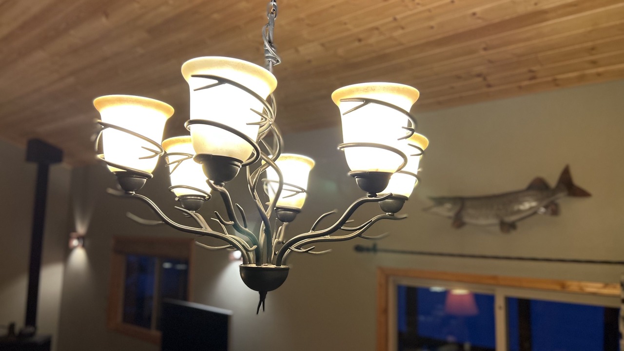 Photo of Others in Republic