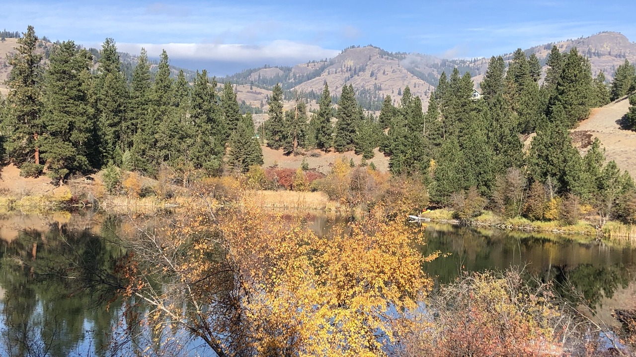 Photo of Others in Republic