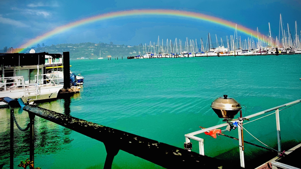 Photo of Others in Sausalito