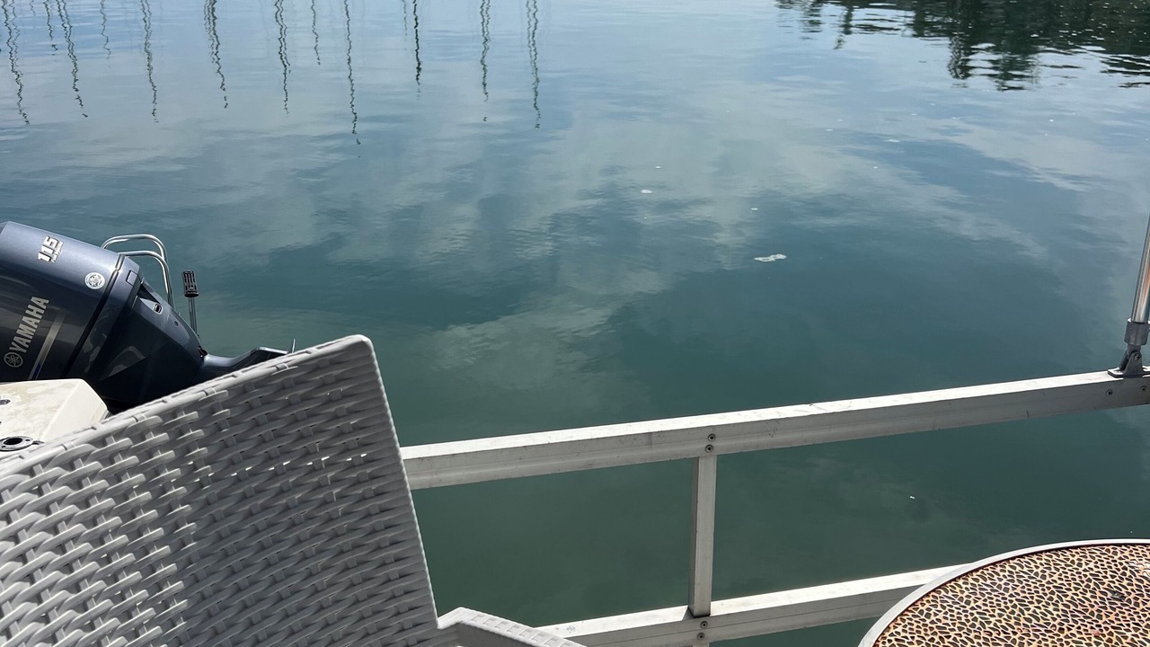 Photo of Others in Sausalito