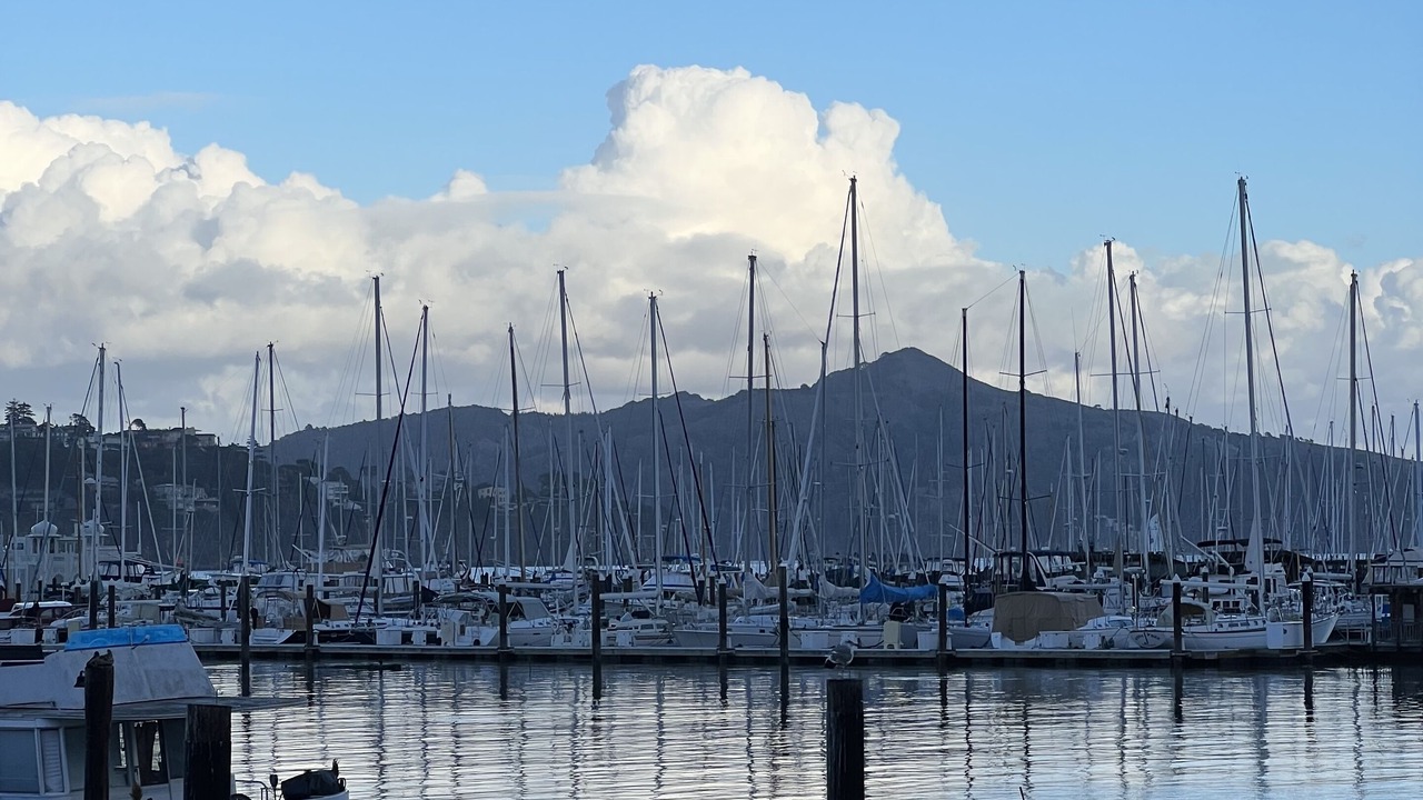 Photo of Others in Sausalito