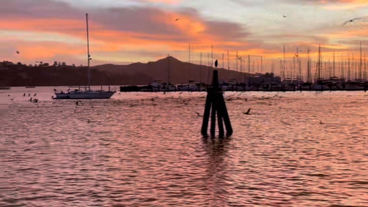 Photo of Others in Sausalito