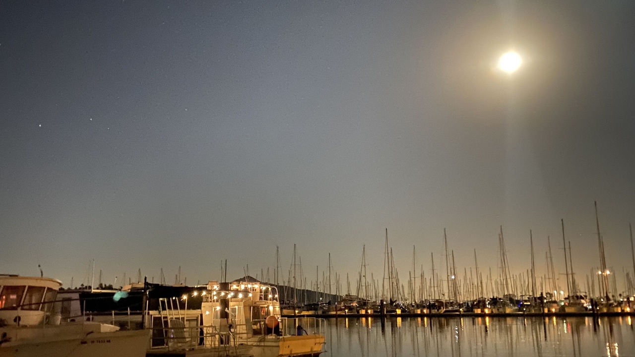 Photo of Others in Sausalito