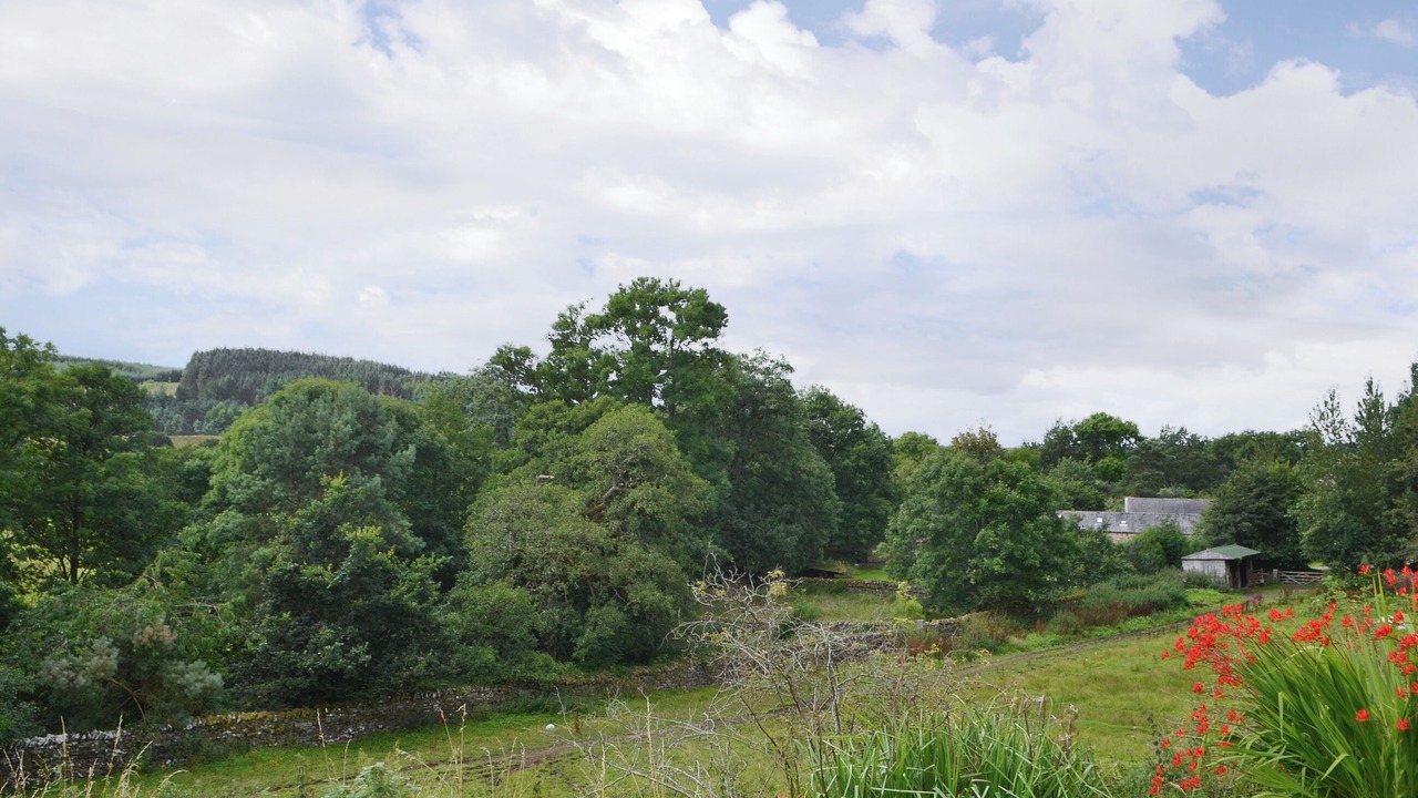 Photo of Others in Falstone