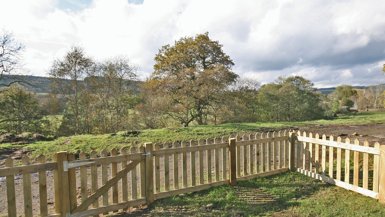 Photo of Others in Falstone