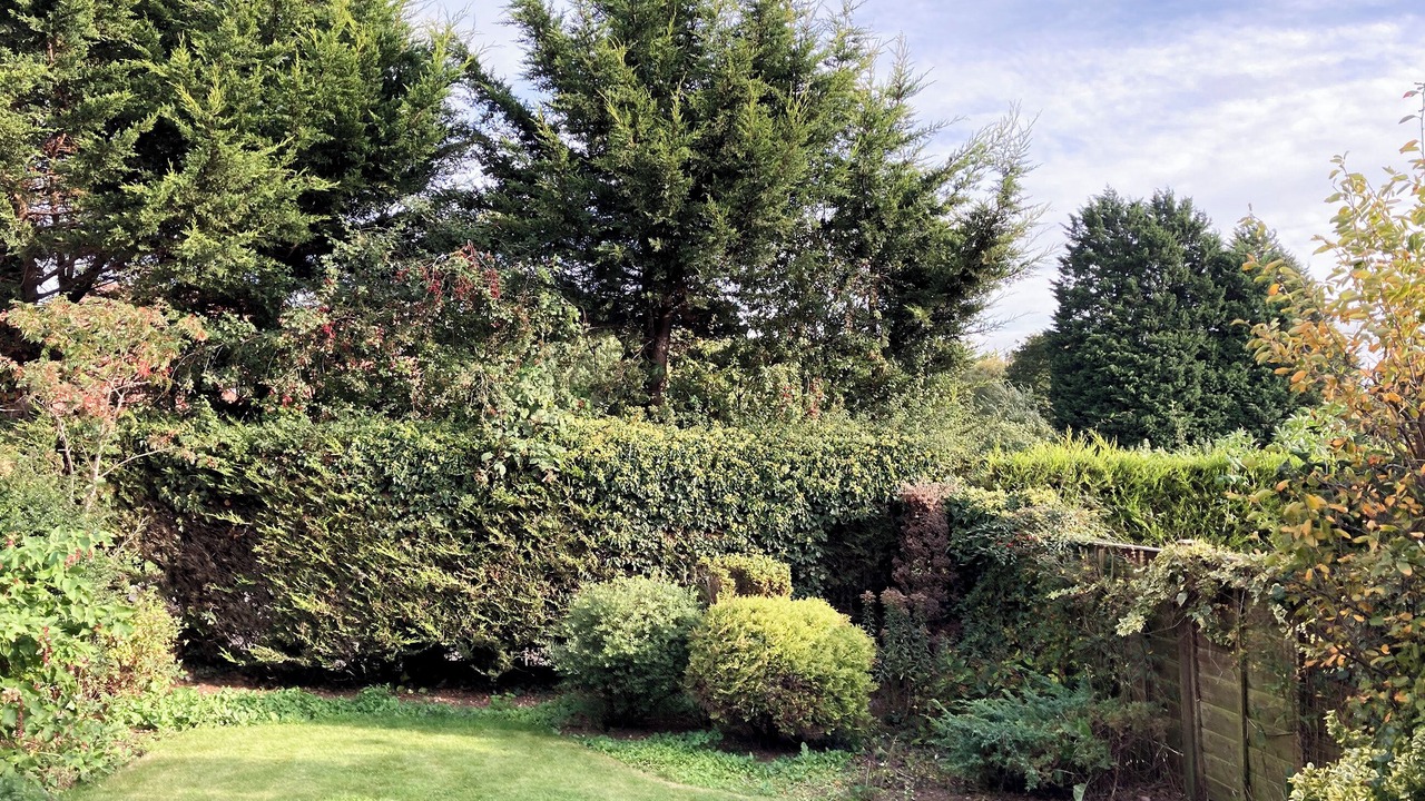 Photo of Outdoor in Pickering