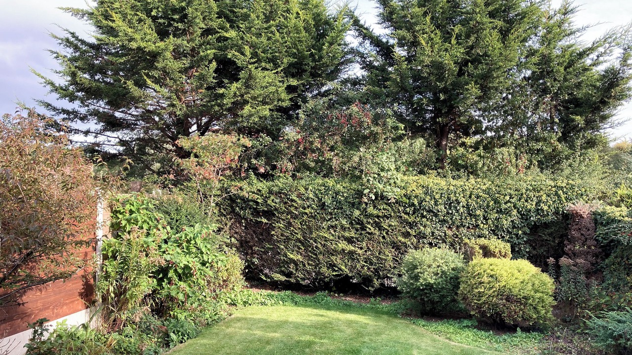 Photo of Outdoor in Pickering