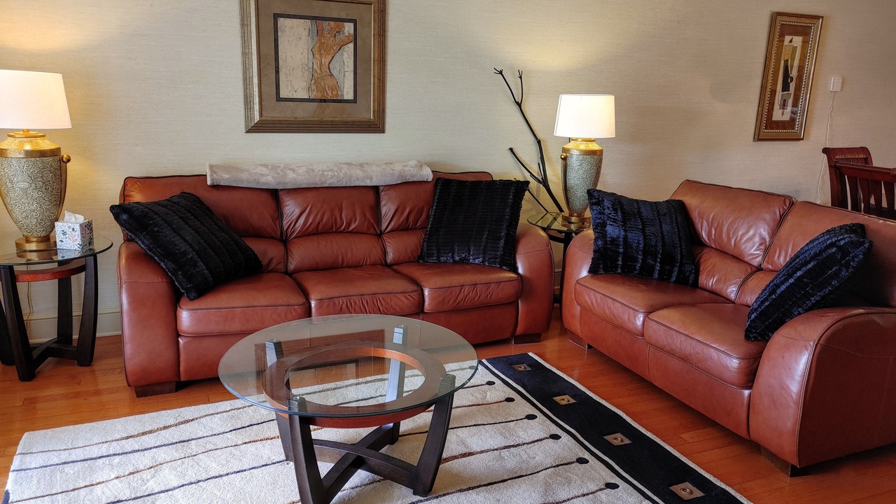 Photo of Livingroom in Wesley Chapel