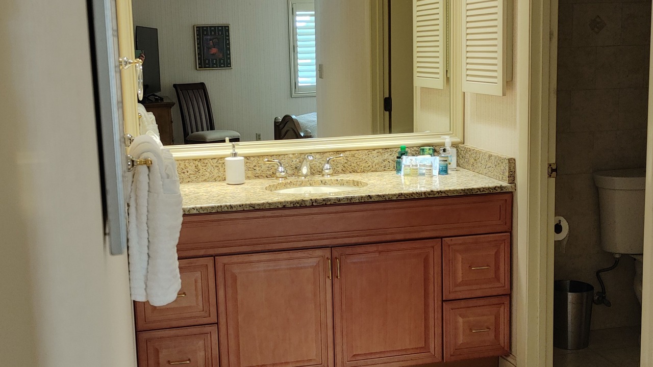 Photo of Bathroom in Wesley Chapel