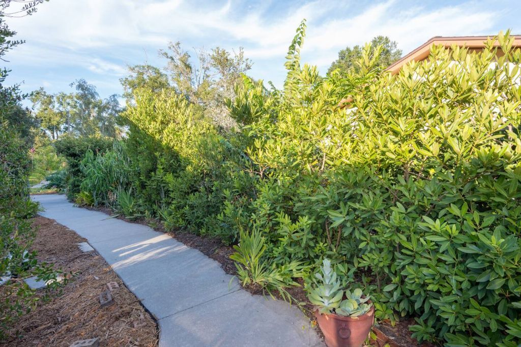 Photo of Outdoor in Orlando