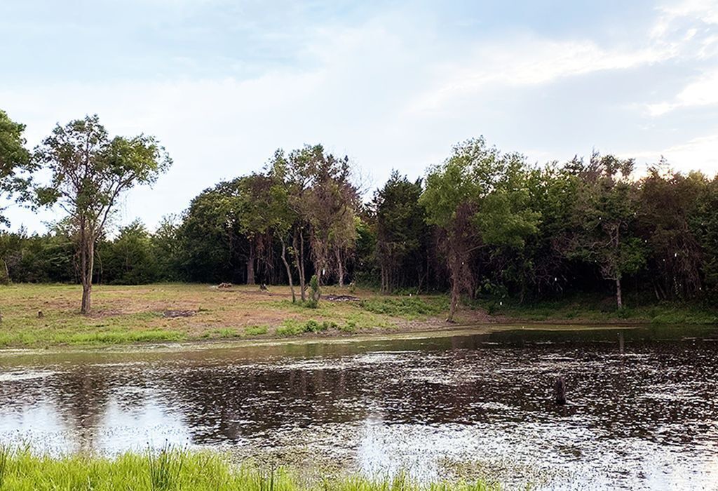 Photo of Others in Wills Point