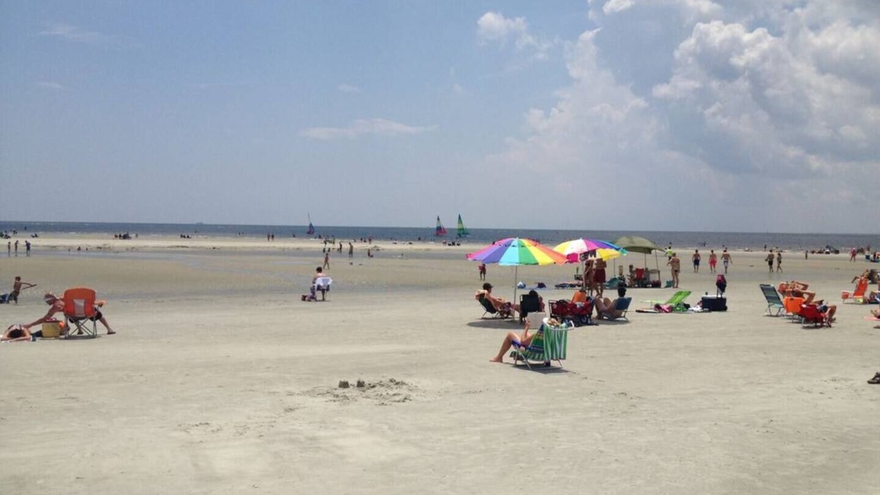 Photo of Others in Saint Simons Island