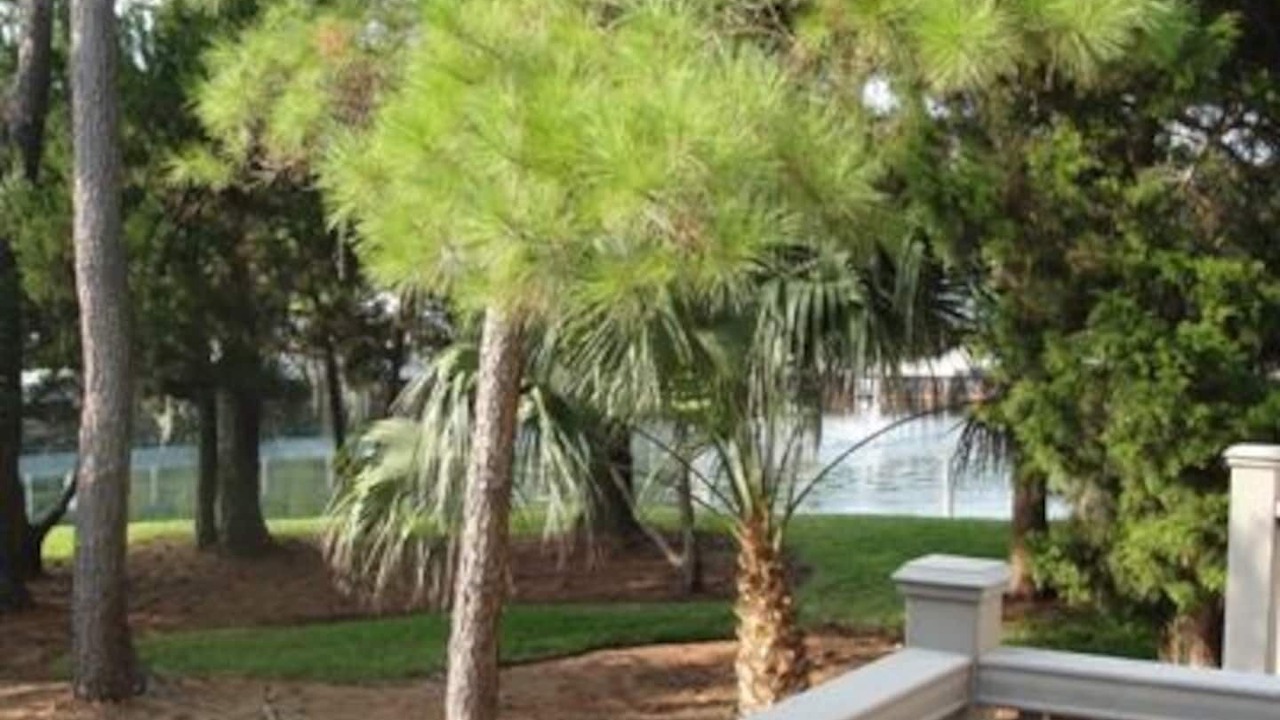 Photo of Outdoor in Saint Simons Island