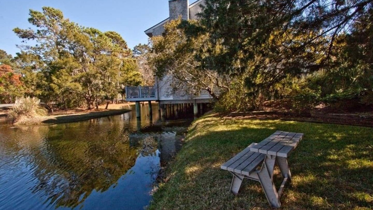 Photo of Outdoor in Saint Simons Island