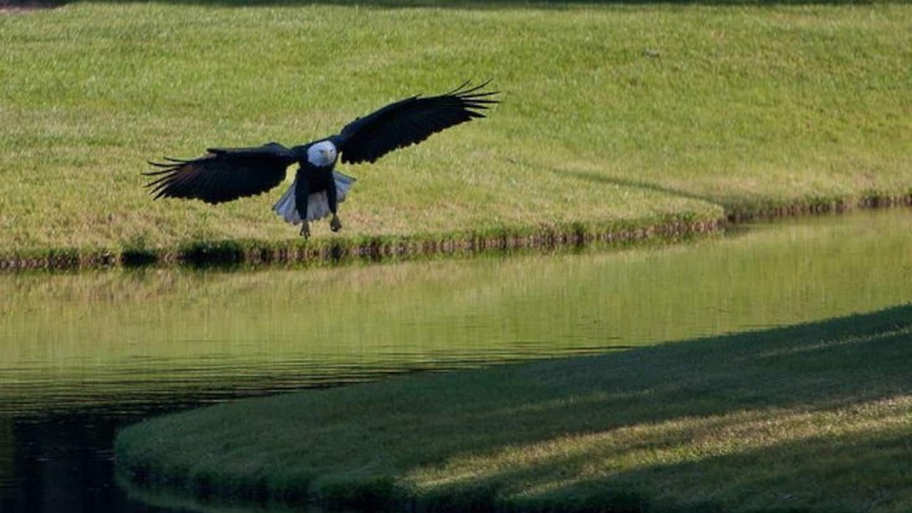 Photo of Others in Saint Simons Island