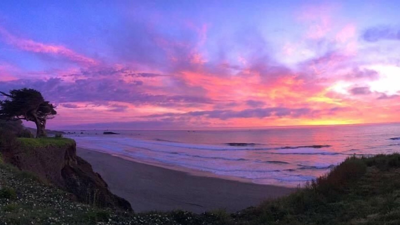 Photo of Others in Gold Beach