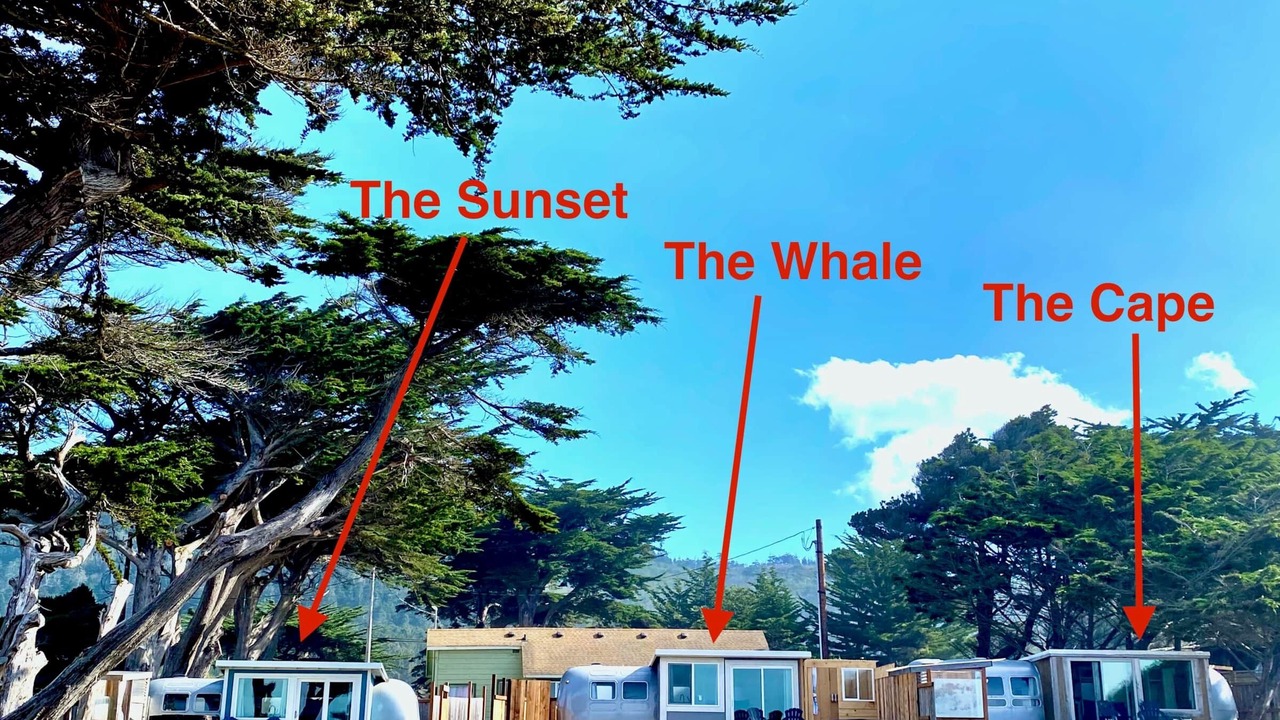 Photo of Others in Gold Beach