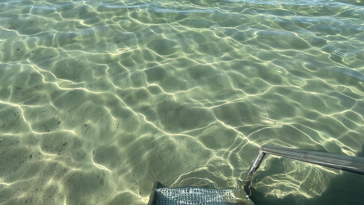 Photo of Others in Faaborg