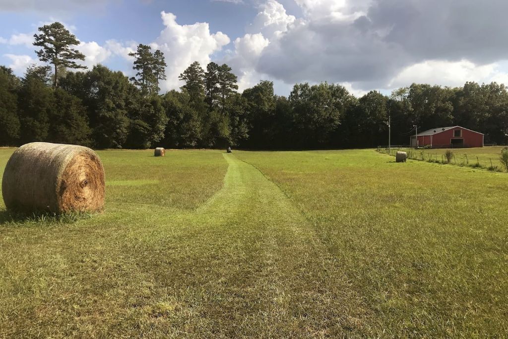 Photo of Others in Hollywood