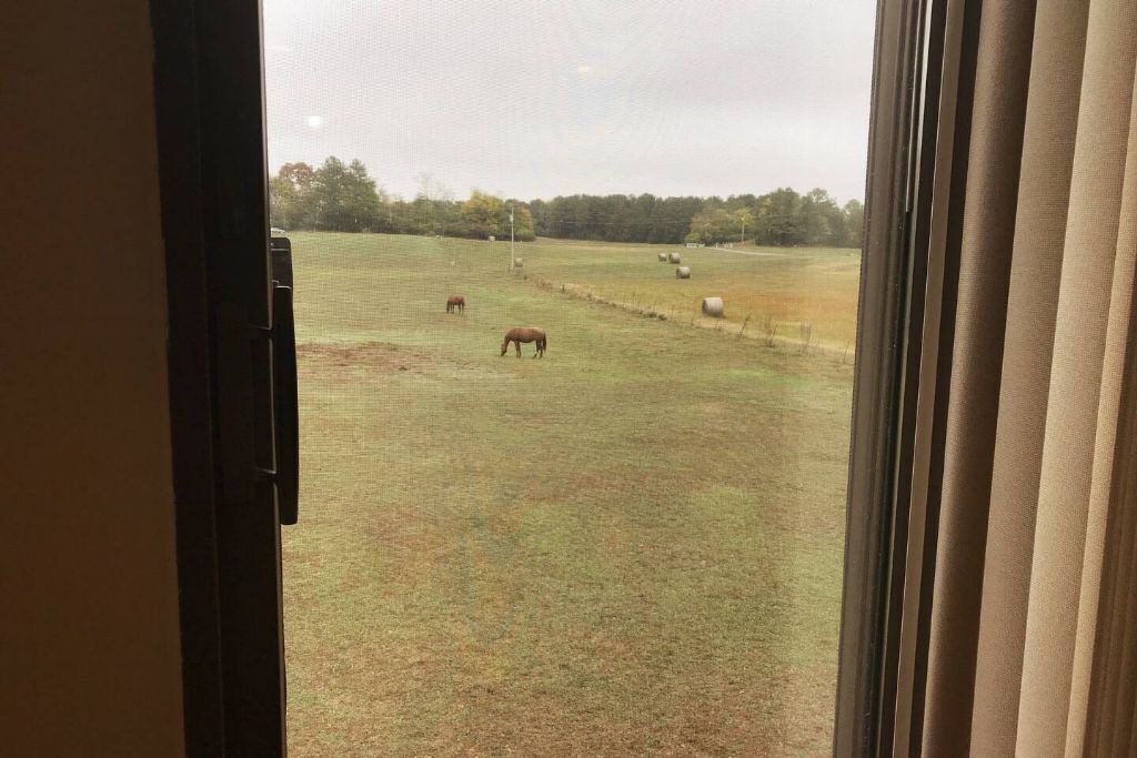 Photo of Others in Hollywood